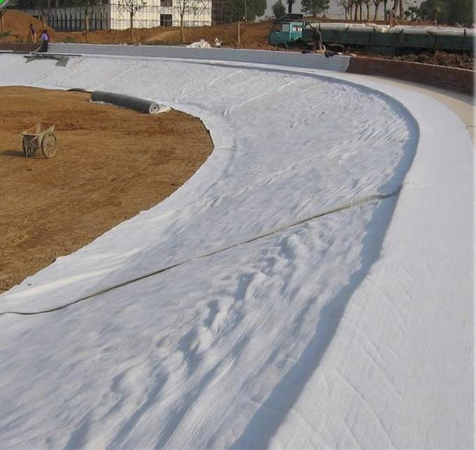 40 Mil 80mil HDPE Geomembrane Liners для плотин / свалок / водоемов / рыбных ферм Удовлетворение требований клиентов 9