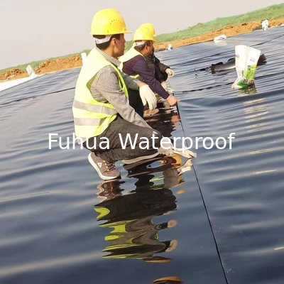 Good price Экологически чистый чёрный геомамбрана из HDPE для озерных лайнеров толщина 0,3 мм - 3,0 мм онлайн